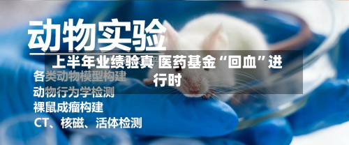 上半年业绩验真 医药基金“回血	”进行时-第2张图片
