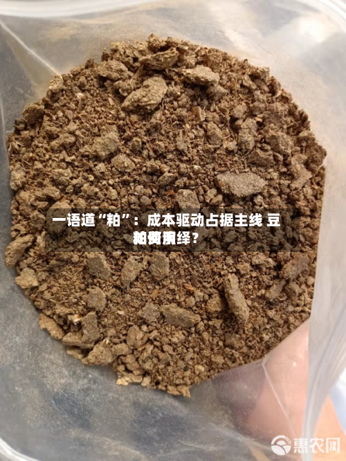 一语道“粕”：成本驱动占据主线 豆粕费用如何演绎？-第1张图片
