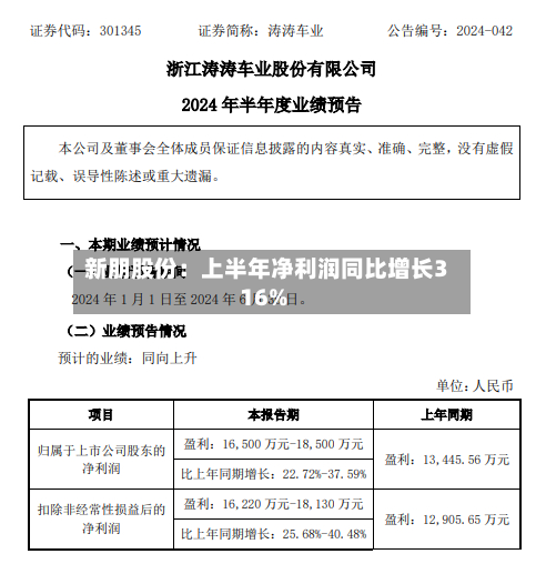 新朋股份：上半年净利润同比增长316%-第1张图片