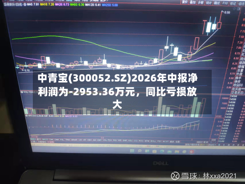 中青宝(300052.SZ)2026年中报净利润为-2953.36万元，同比亏损放大-第1张图片