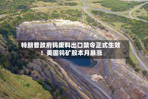 特朗普政府钨废料出口禁令正式生效!美国钨矿股本月暴涨-第2张图片