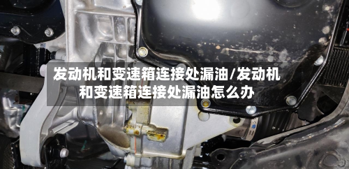 发动机和变速箱连接处漏油/发动机和变速箱连接处漏油怎么办