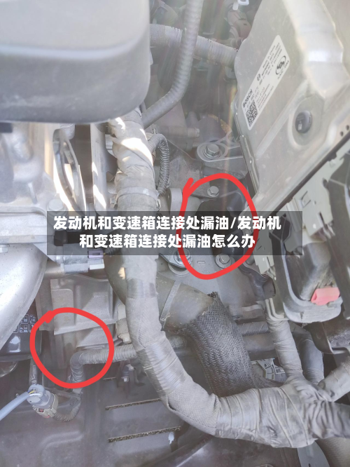 发动机和变速箱连接处漏油/发动机和变速箱连接处漏油怎么办-第2张图片