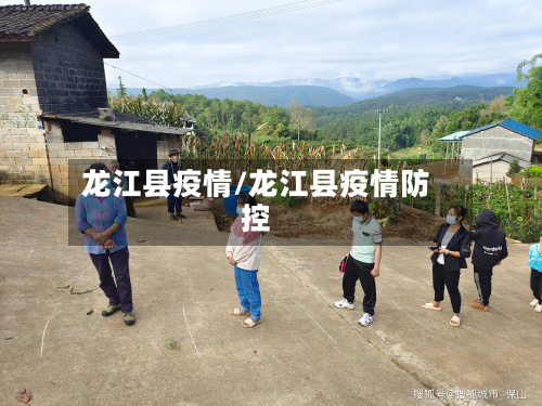 龙江县疫情/龙江县疫情防控