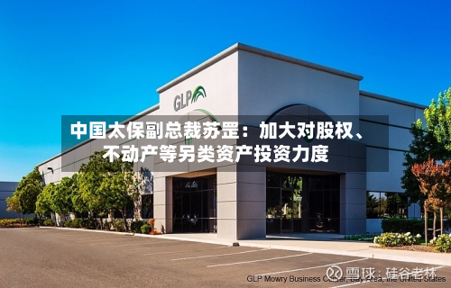 中国太保副总裁苏罡：加大对股权	、不动产等另类资产投资力度-第2张图片