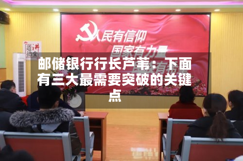 邮储银行行长芦苇：下面有三大最需要突破的关键点-第2张图片