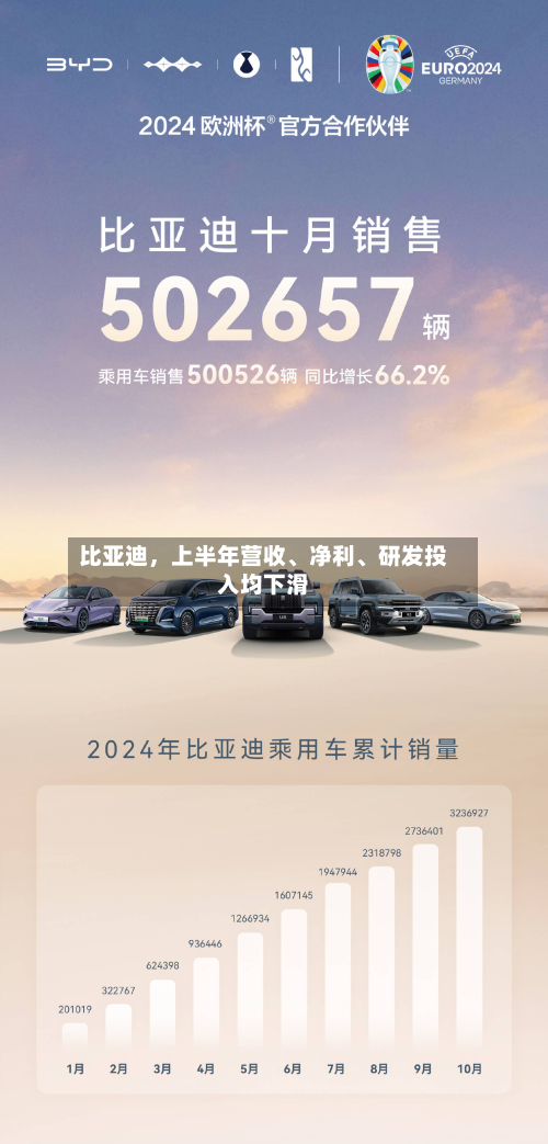 比亚迪	，上半年营收	、净利、研发投入均下滑-第2张图片