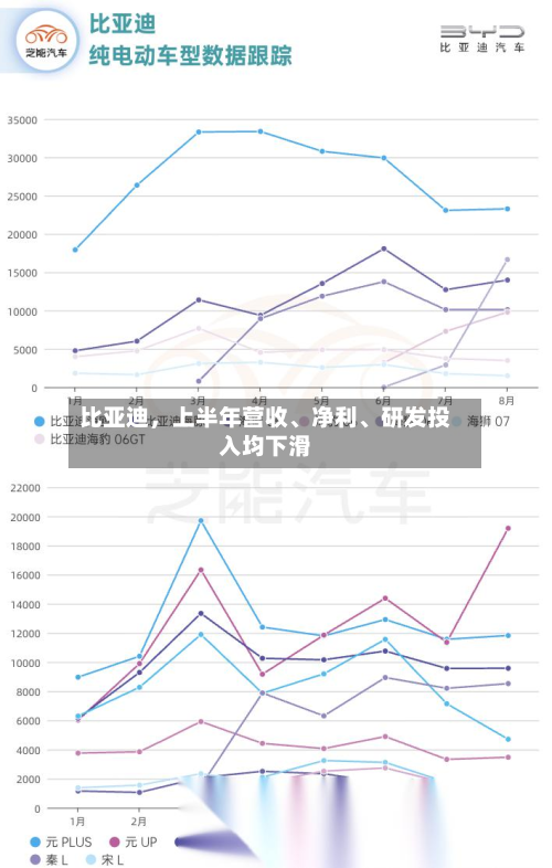 比亚迪，上半年营收、净利、研发投入均下滑