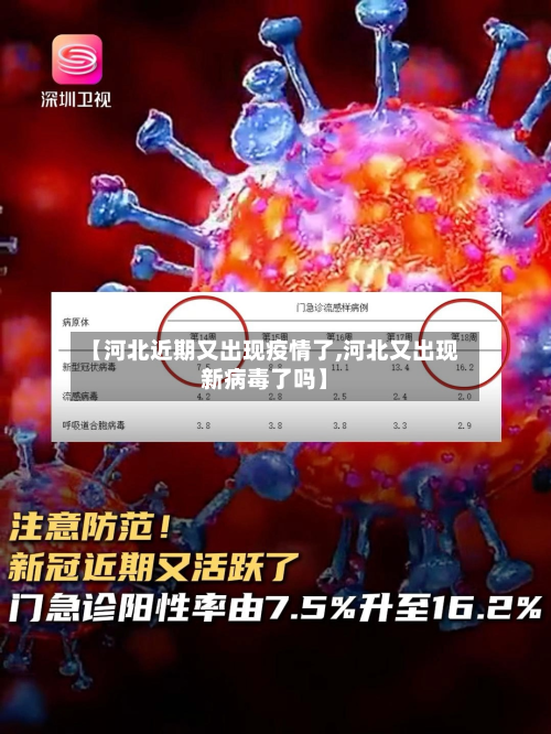 【河北近期又出现疫情了,河北又出现新病毒了吗】-第2张图片