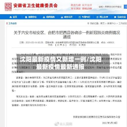 沈阳最新疫情又新增一例/沈阳最新疫情最新通报