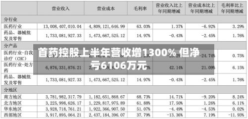 首药控股上半年营收增1300% 但净亏6106万元