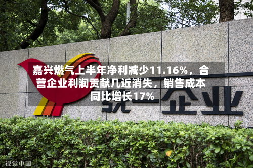 嘉兴燃气上半年净利减少11.16%，合营企业利润贡献几近消失	，销售成本同比增长17%-第2张图片