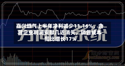 嘉兴燃气上半年净利减少11.16%，合营企业利润贡献几近消失，销售成本同比增长17%-第3张图片