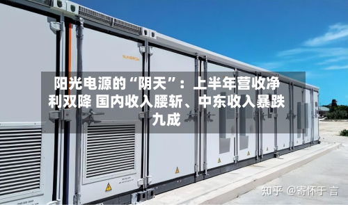 阳光电源的“阴天”：上半年营收净利双降 国内收入腰斩	、中东收入暴跌九成-第3张图片