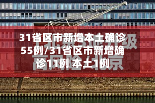 31省区市新增本土确诊55例/31省区市新增确诊11例 本土1例