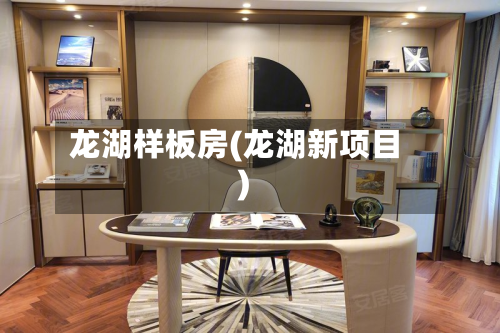 龙湖样板房(龙湖新项目)