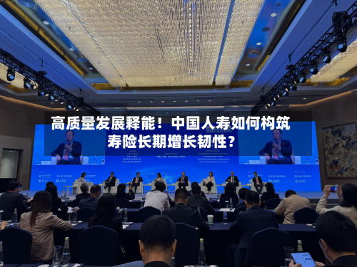 高质量发展释能!中国人寿如何构筑寿险长期增长韧性?-第2张图片