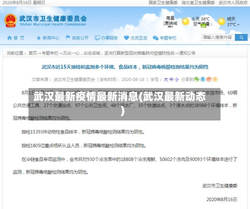 武汉最新疫情最新消息(武汉最新动态)-第2张图片