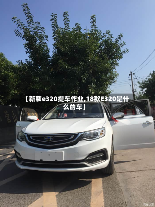 【新款e320提车作业,18款E320是什么的车】-第2张图片