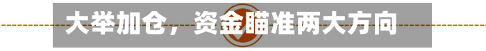 大举加仓，资金瞄准两大方向