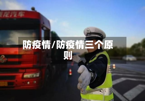 防疫情/防疫情三个原则