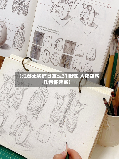 【江苏无锡昨日发现31阳性,人体结构几何体速写】