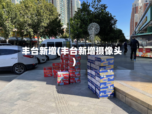 丰台新增(丰台新增摄像头)