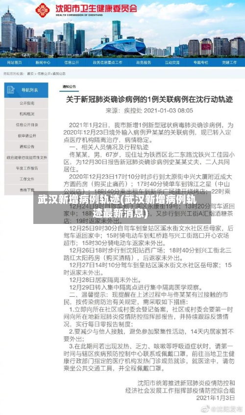 武汉新增病例轨迹(武汉新增病例轨迹最新消息)-第3张图片