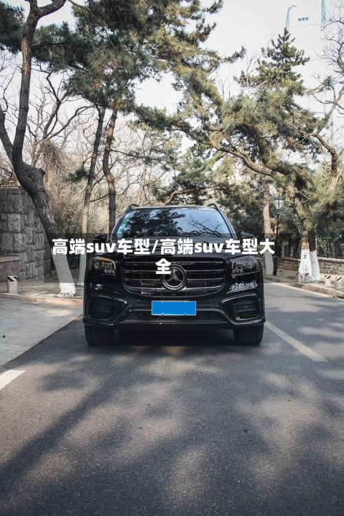 高端suv车型/高端suv车型大全