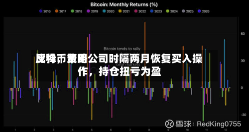 比特币费用反弹，策略公司时隔两月恢复买入操作，持仓扭亏为盈-第2张图片