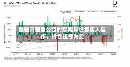 比特币费用反弹，策略公司时隔两月恢复买入操作，持仓扭亏为盈