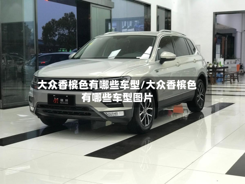 大众香槟色有哪些车型/大众香槟色有哪些车型图片