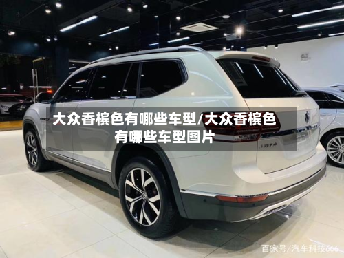 大众香槟色有哪些车型/大众香槟色有哪些车型图片-第2张图片