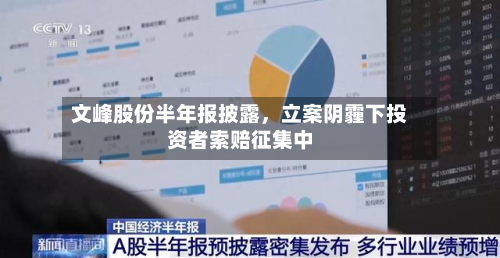 文峰股份半年报披露，立案阴霾下投资者索赔征集中-第3张图片
