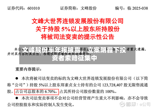 文峰股份半年报披露，立案阴霾下投资者索赔征集中-第2张图片