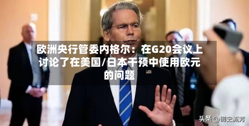 欧洲央行管委内格尔：在G20会议上讨论了在美国/日本干预中使用欧元的问题