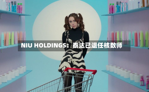 NIU HOLDINGS：泰达已退任核数师-第1张图片