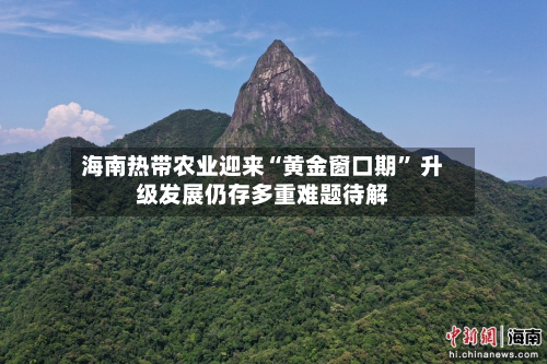 海南热带农业迎来“黄金窗口期” 升级发展仍存多重难题待解