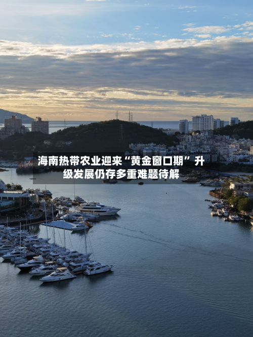 海南热带农业迎来“黄金窗口期	” 升级发展仍存多重难题待解-第2张图片
