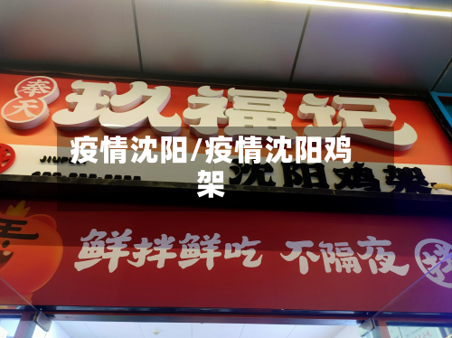 疫情沈阳/疫情沈阳鸡架-第3张图片