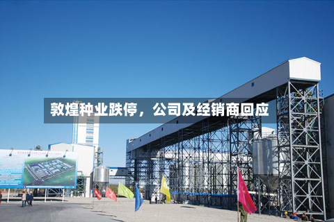 敦煌种业跌停，公司及经销商回应-第2张图片