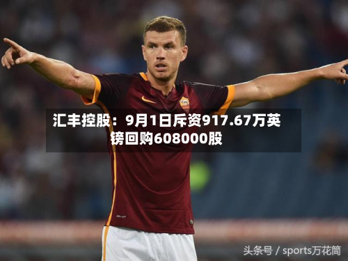汇丰控股:9月1日斥资917.67万英镑回购608000股-第2张图片