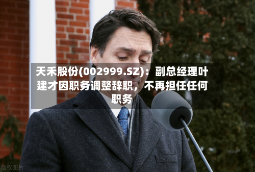天禾股份(002999.SZ)：副总经理叶建才因职务调整辞职，不再担任任何职务-第1张图片