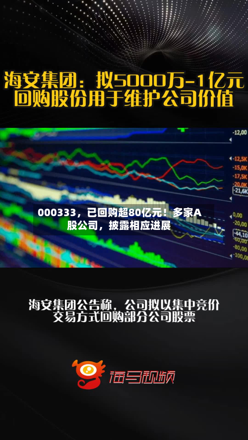000333	，已回购超80亿元！多家A股公司，披露相应进展-第3张图片