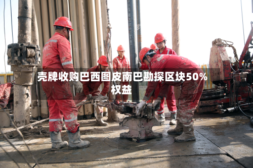 壳牌收购巴西图皮南巴勘探区块50%权益-第1张图片