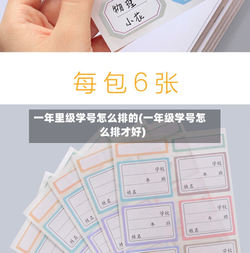 一年里级学号怎么排的(一年级学号怎么排才好)