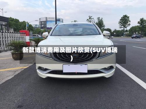 新款博瑞费用及图片欣赏(SUV博瑞)-第2张图片