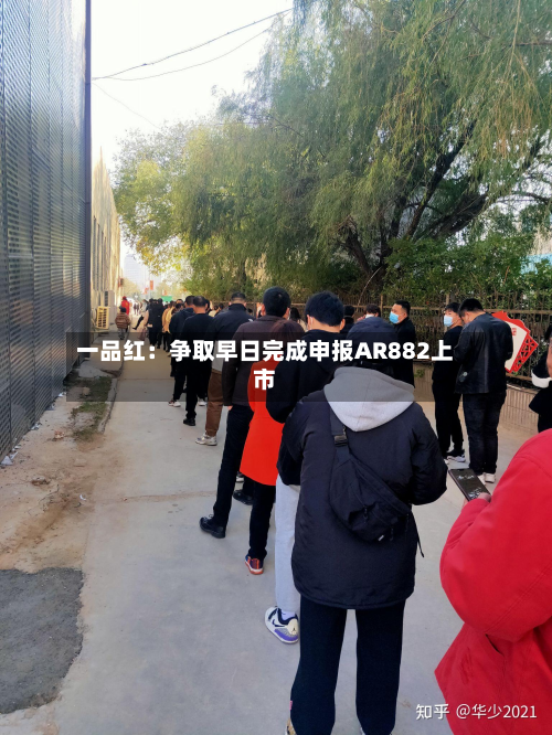 一品红:争取早日完成申报AR882上市-第1张图片