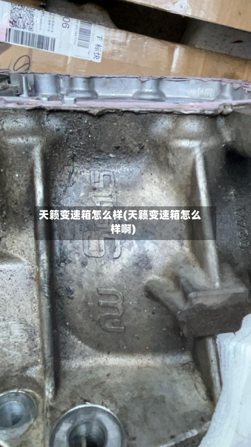 天籁变速箱怎么样(天籁变速箱怎么样啊)-第3张图片