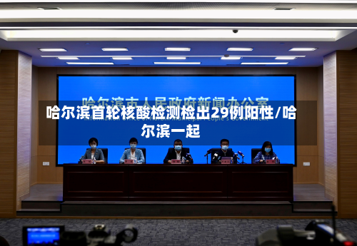 哈尔滨首轮核酸检测检出29例阳性/哈尔滨一起